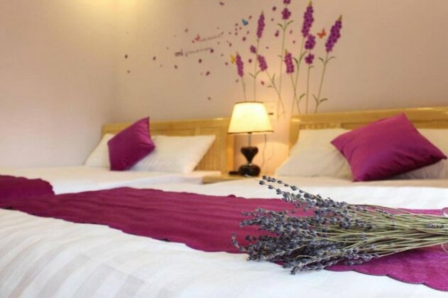 Lavender Tim - Photo4