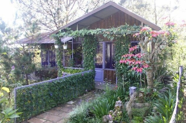 Pine Hill Treehouse Homestay Dalat - Photo2