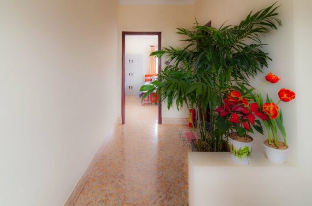 Robin Hill Guesthouse - Photo4