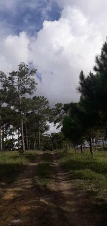 Sakura Homestay Da Lat - Photo5