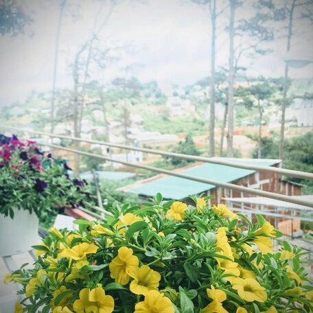Thousand Sunny Homestay - Photo5
