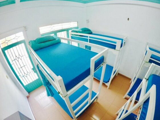 Viridian Hostel - Photo4