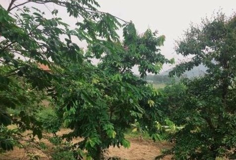 Cat Tien National Park Homestay - Photo3