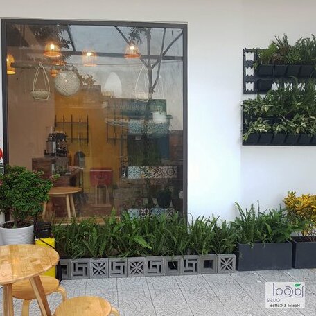 La Cool House - Photo2