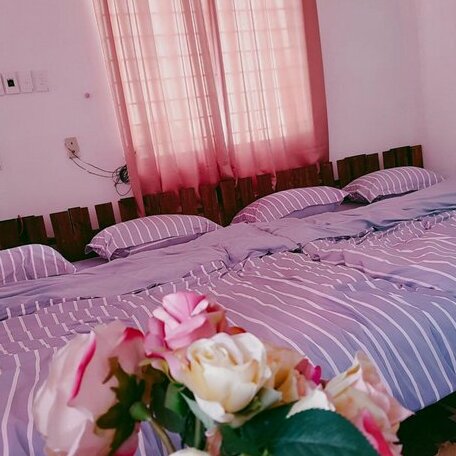 LaLa Homestay Danang - Photo3