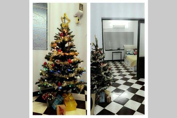Penguin Friendly House - Photo3