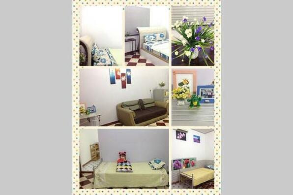 Penguin Friendly House - Photo4