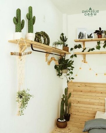 Sleepingwood Homestay - Photo3