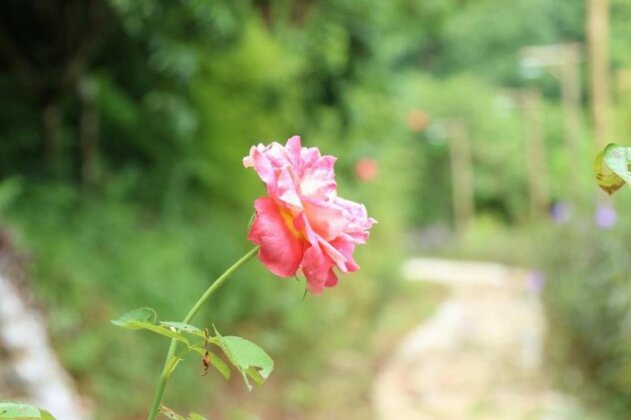 Ban Ho Nature Homestay - Photo3