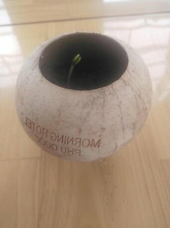 Morning Hotel Phu Quoc - Photo5