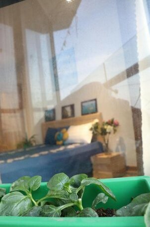Green Bay Premium apartment of MinhF 02 bedrooms seaview full kitchen - Photo4