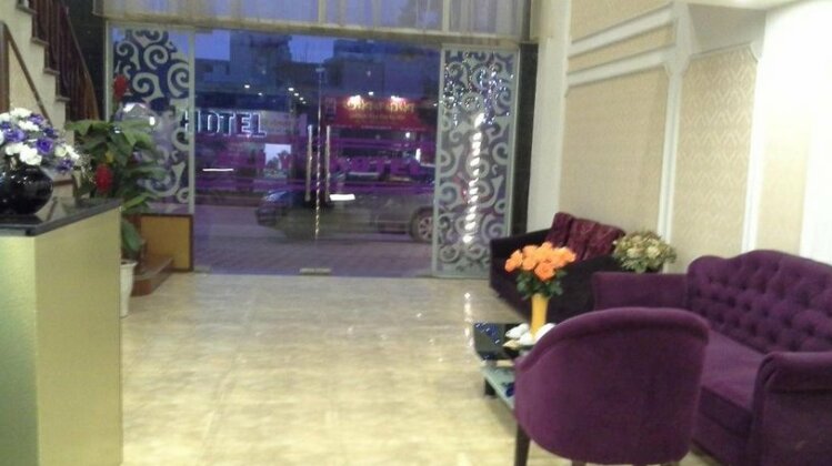 Elly Hotel - Photo4