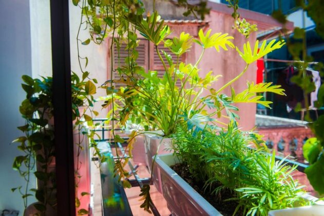 Little Tree House Hanoi - Photo4