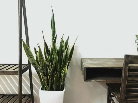 Westlake Cozy Home - Photo3