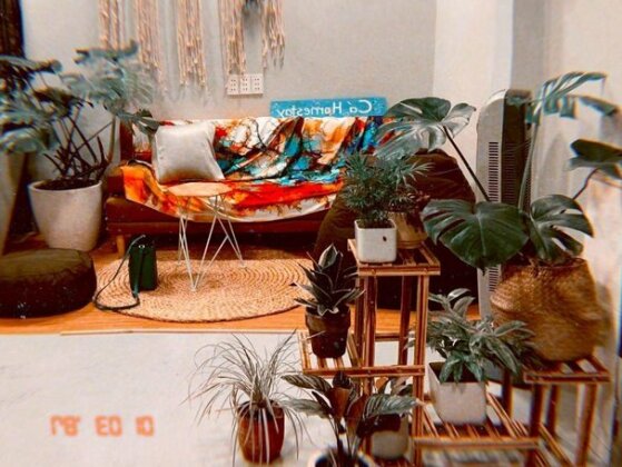 Te House - Photo2