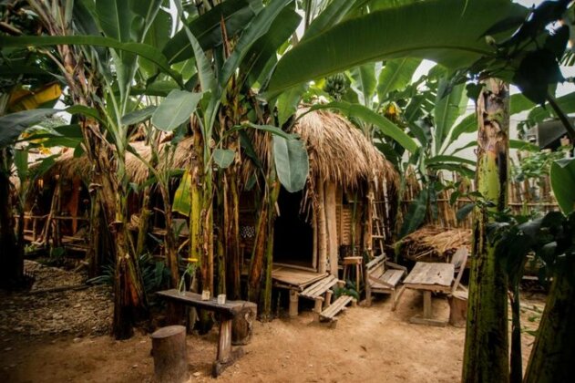Lang Ho Homestay - Coffee - Photo2