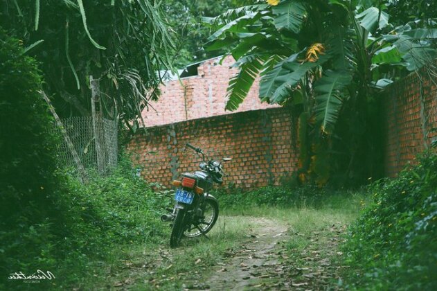 VuonThuGuestHouseGarden - Photo3