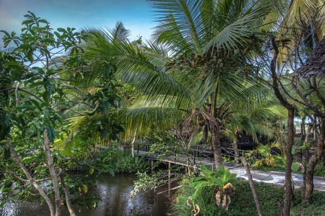 Coco Homestay - Photo3
