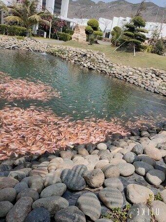 Oceanami - Photo4