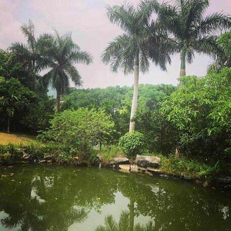 Hoa Binh Garden Resort