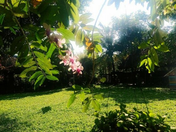Happy Farm Tien Giang Homestay - Photo3