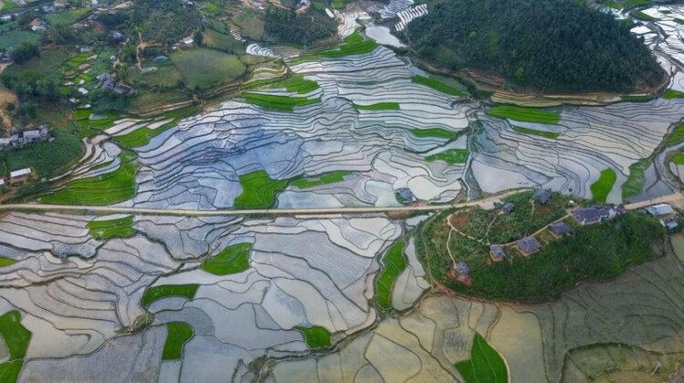 Mu Cang Chai Eco Lodge - Photo2