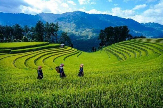Nha Nghi Phu Ly - Photo2