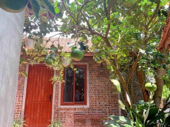 Amira Homestay Ninh Binh - Photo5