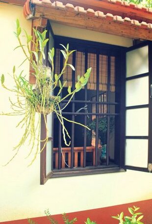 Le Jardin De Tamcoc Homestay - Photo4