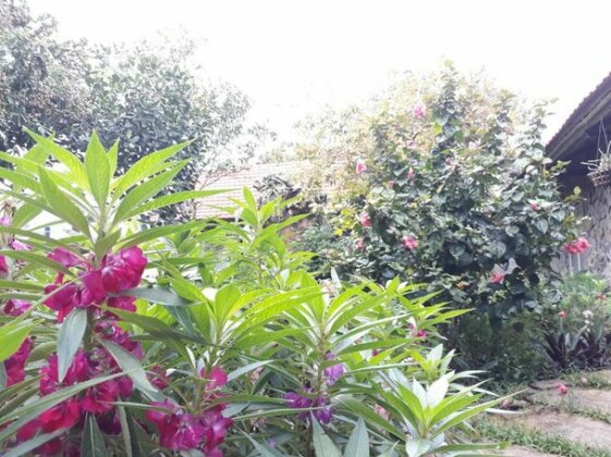 Mr Viet home stay - Photo4