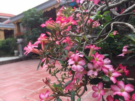 Tam Coc Family Homestay - Photo2