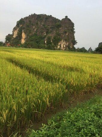 Tam Coc Heart Homestay - Photo2