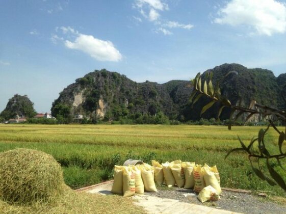 Tam Coc Mountain View Homestay - Photo5