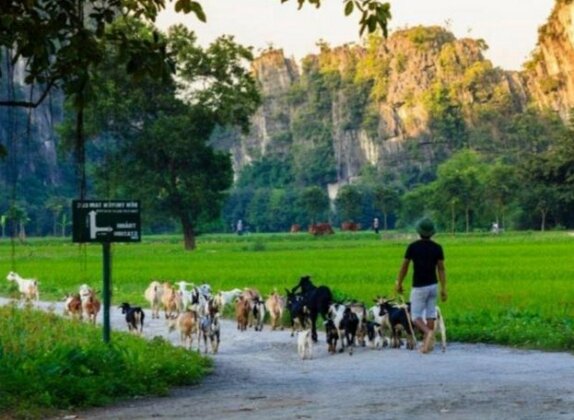 Tam Coc Tam Nhung Homestay - Photo4