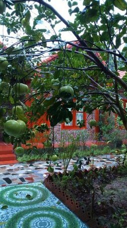 Thanh Homestay - Photo5