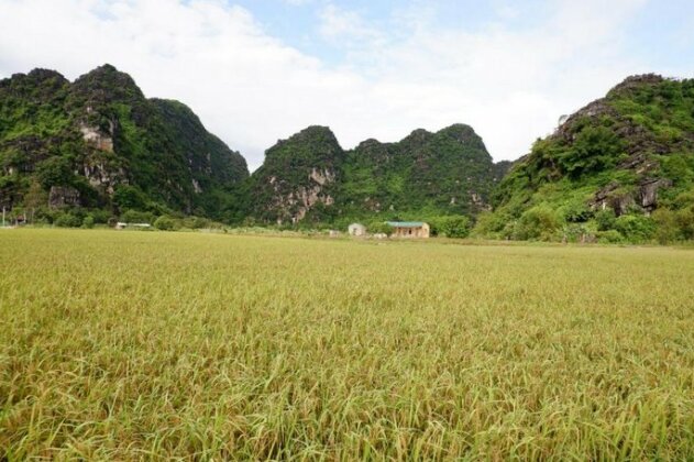 Tre Xanh Homestay - Photo2