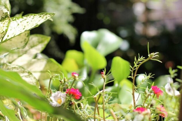 Co Tu's Homestay - Mui Ne - Photo3