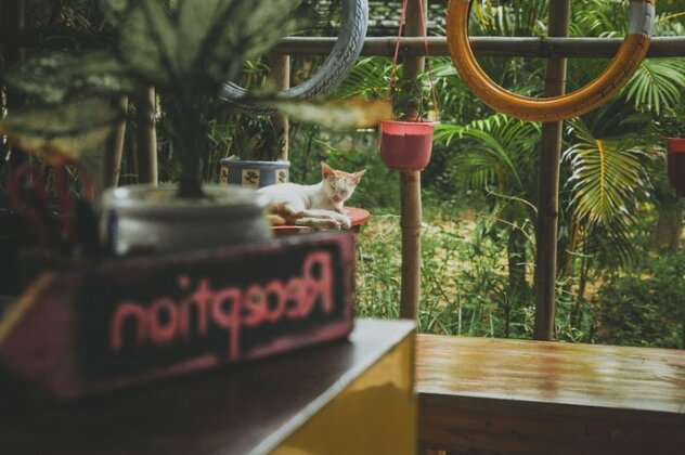 EVA HUT Mui Ne Beach Hostel - Photo3
