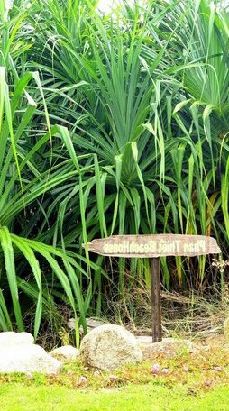 Phan Thiet BeachHouse - Photo5