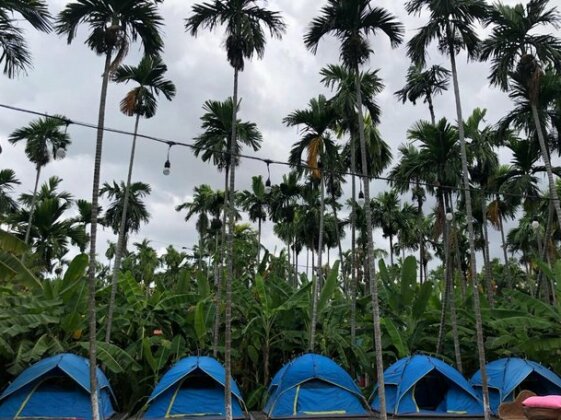 Suri Mui Ne Homestay - Photo4