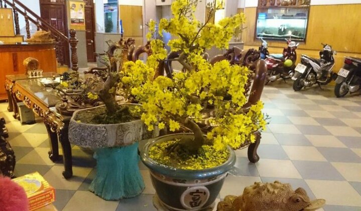 Cao Nguyen Hotel Pleiku - Photo4