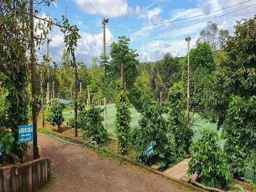 Tithonia Homestay