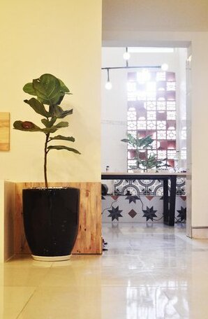 KAKA Homestay/Hostel Quy Nhon - Photo5
