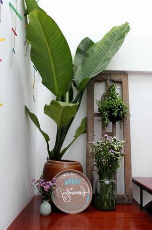 WIN Homestay Qui Nhon - Photo4