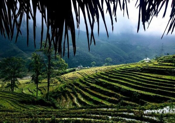 Sapa Hmong Bungalow Homestay - Photo4