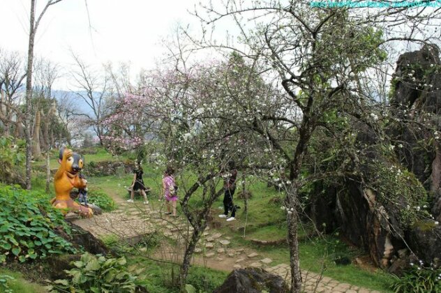 Sapa Sunflower Hotel - Photo5
