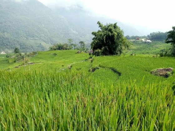 Sau Meo Mountain View - Photo4