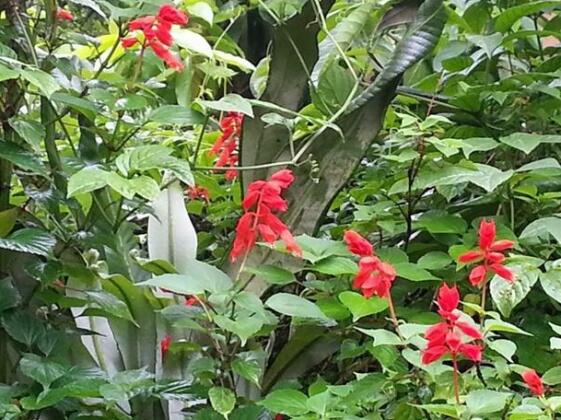 Stone Garden Homestay - Photo2