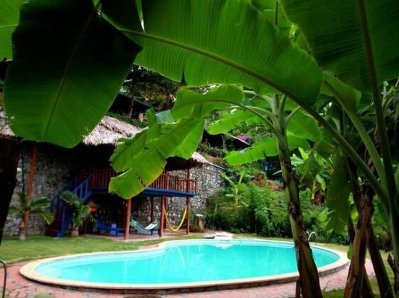 Banana and Rose Homestay - Photo3