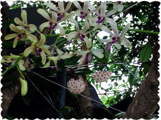 Phuong Tu Guesthouse - Photo3